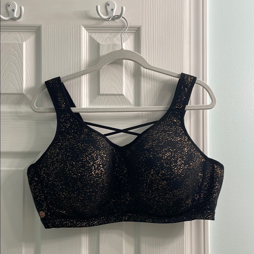 Cacique Sports Bra